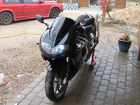 Suzuki TL1000r (solgt) billede 4