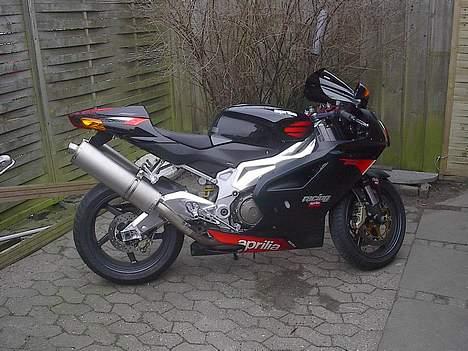 Aprilia RSV 1000R billede 16