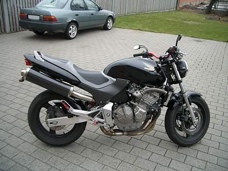 Honda CB 600 F Hornet billede 1