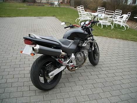 Honda CB 600 F Hornet billede 2