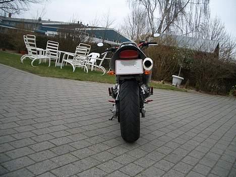 Honda CB 600 F Hornet billede 3