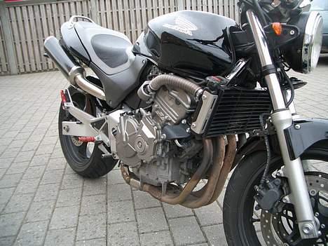 Honda CB 600 F Hornet billede 8