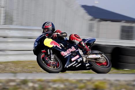 Suzuki TL 1000 S  - min gamle baneracer i redbull forklædning .  billede 13