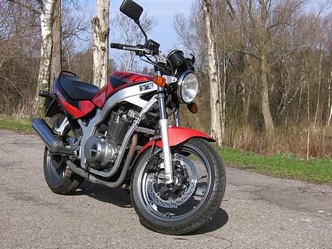 Suzuki gs 500 - solgt billede 2