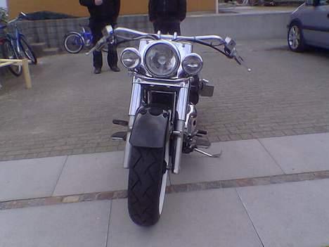 Suzuki  vl 1500 billede 2