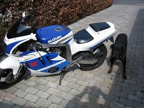 Suzuki Gsxr-r  billede 4