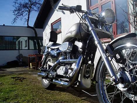 Harley Davidson sportster billede 3