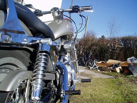 Harley Davidson sportster billede 5