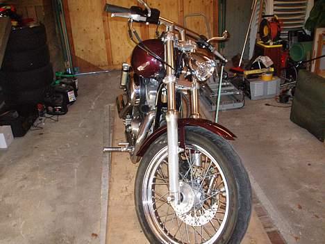 Harley Davidson 883 sportster billede 8