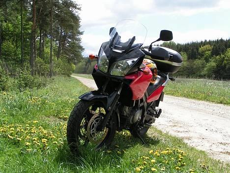 Suzuki dl 650 billede 2