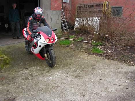 Bimota SB6 billede 8