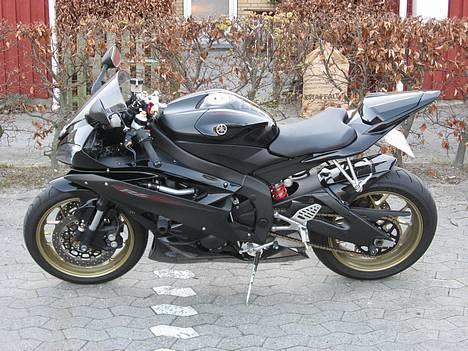 Yamaha R6 (solgt) billede 2