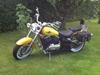 Kawasaki Vn 800 Classic
