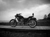 Lifan LF400 V Twin Royal  - Costum -  [Tidl. motorcykel]