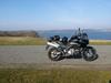 Suzuki v strom