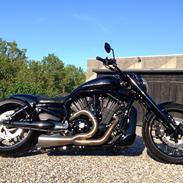 Harley Davidson V Rod Night Rod Speciel