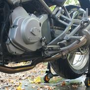 Ducati Monster 600