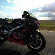 Aprilia RS 250