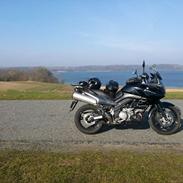 Suzuki v strom