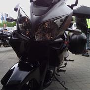 Suzuki v strom