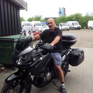 Suzuki v strom
