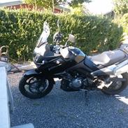 Suzuki v strom