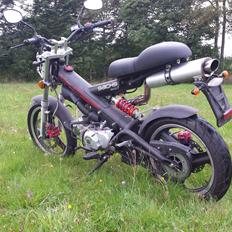 Sachs MadAss 125ccm (BadAss)