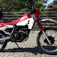 Kawasaki KLR 250