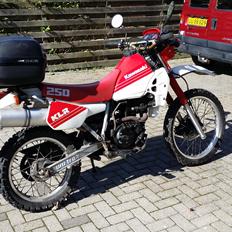 Kawasaki KLR 250