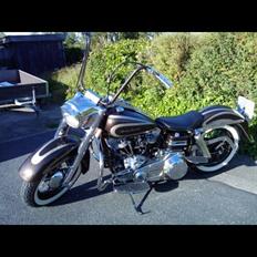 Harley Davidson Flh1200