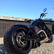 Harley Davidson V Rod Night Rod Speciel