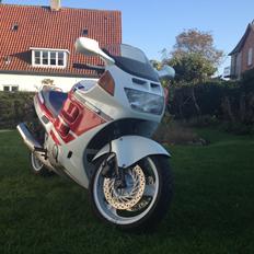 Honda CBR 1000 F SC24 SOLGT