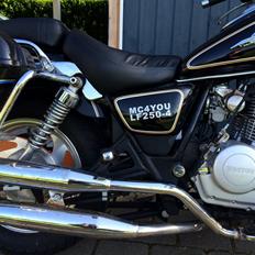 Lifan LF250-4 (SOLGT)