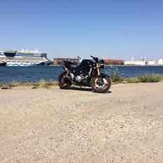 Suzuki SV 1000n