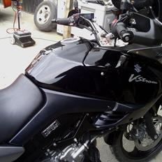 Suzuki v strom