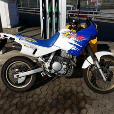 Honda SOLGT NX 650 Dominator