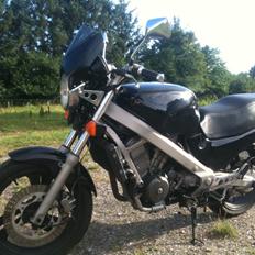 Honda NTV 650  (SOLGT)