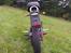 Sachs MadAss 125ccm (BadAss)