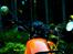 BMW R 65 G/S