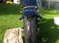 Jinlun Costum Bobber