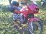 Moto Guzzi Quota 1000