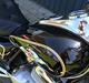 Lifan LF250-4 (SOLGT)