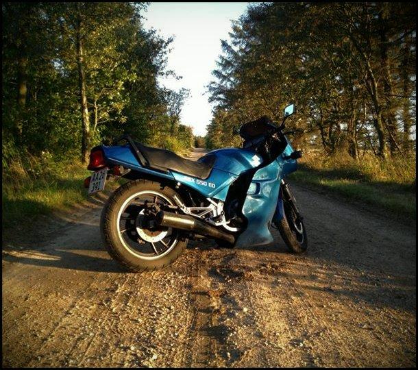 Suzuki GSX 550 ED billede 4