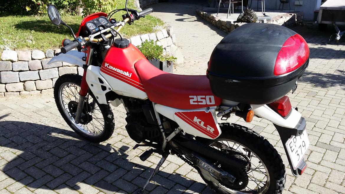 Kawasaki KLR 250 billede 4