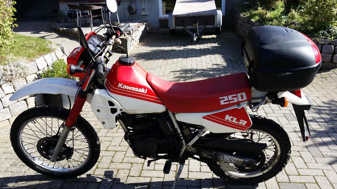 Kawasaki KLR 250 billede 2