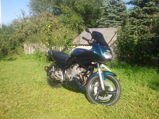 Yamaha XJ 600 S Diversion (Yamissen) billede 10