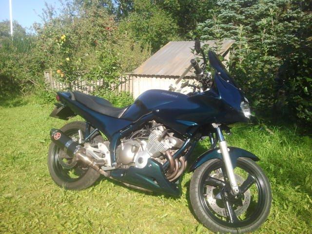 Yamaha XJ 600 S Diversion (Yamissen) billede 15