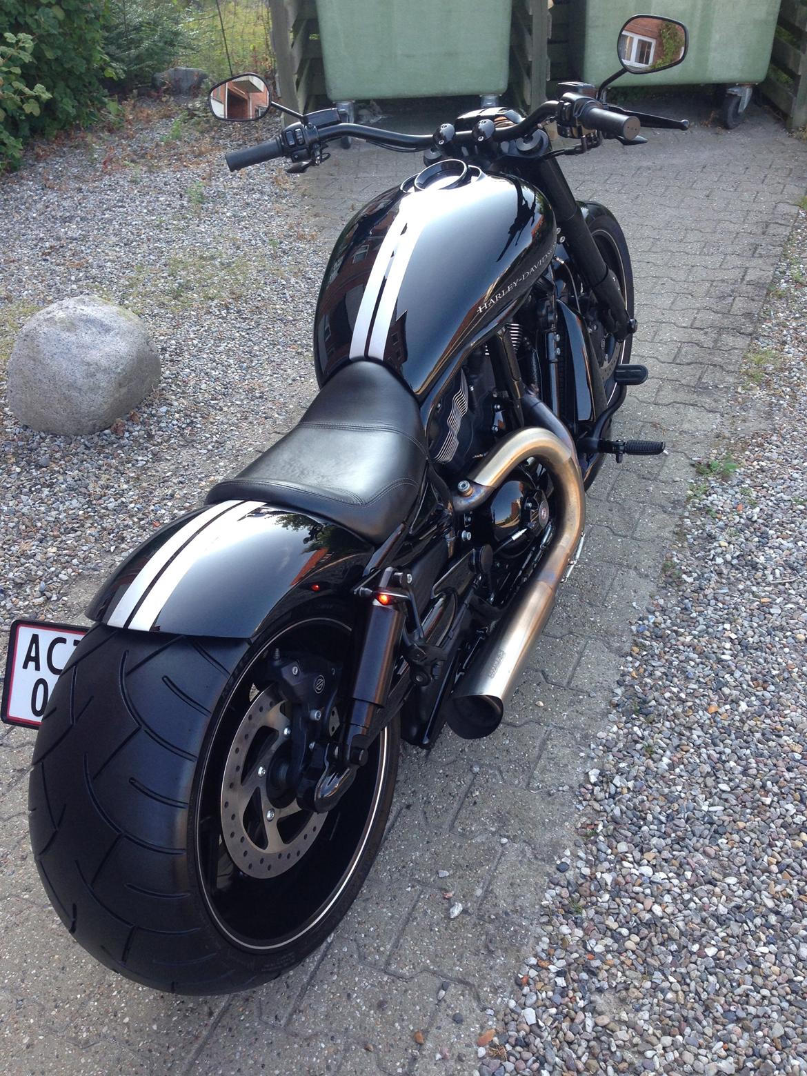 Harley Davidson V Rod Night Rod Speciel billede 15