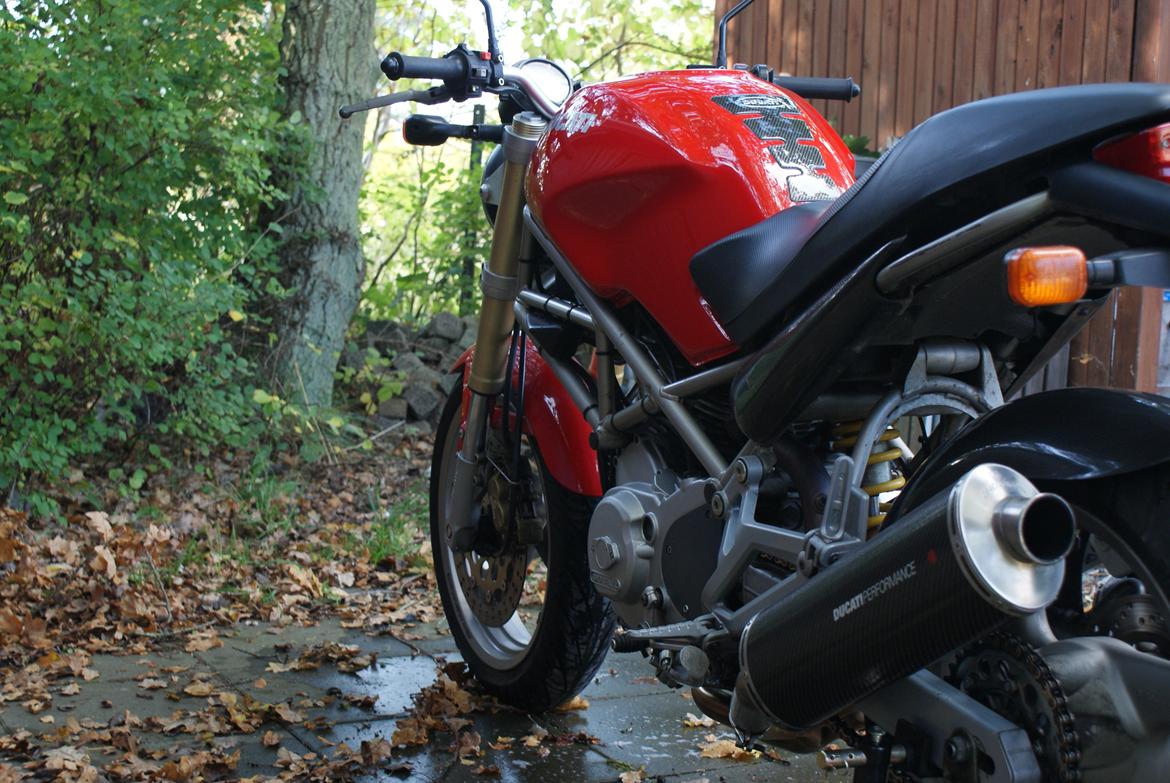 Ducati Monster 600 billede 4