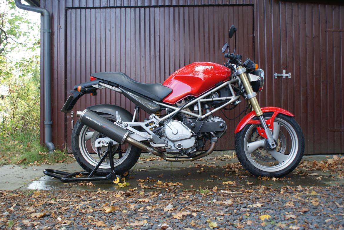 Ducati Monster 600 billede 8